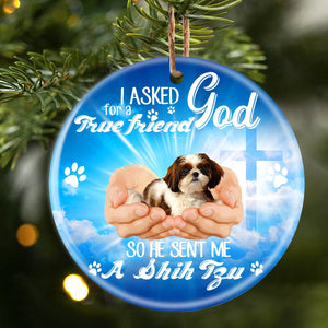 God Send Me A/An Shih Tzu 2 Porcelain/Ceramic Ornament
