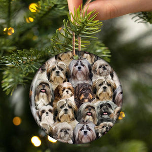 A Bunch Of Shih Tzus Porcelain/Ceramic Ornament