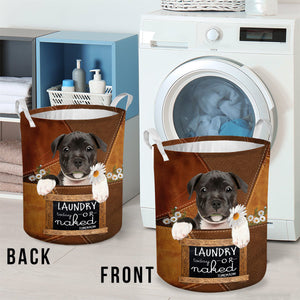 Staffordshire Bull Terrier07 Laundry Today Or Naked Tomorrow Laundry Basket