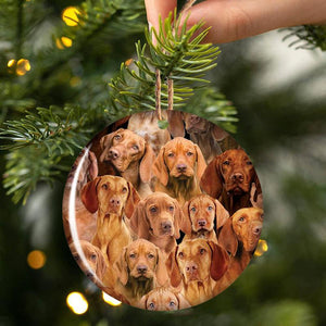 A Bunch Of Vizslas Porcelain/Ceramic Ornament