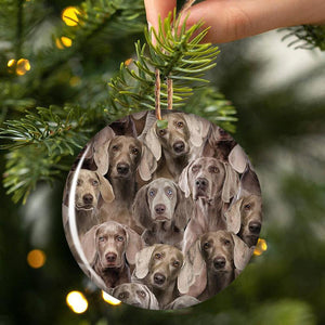 A Bunch Of Weimaraners Porcelain/Ceramic Ornament