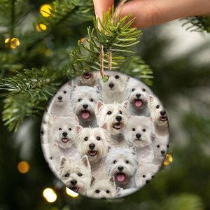 A Bunch Of West Highland White Terriers Porcelain/Ceramic Ornament