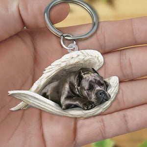 Wheaten Terrier1 Sleeping Angel Acrylic Keychain