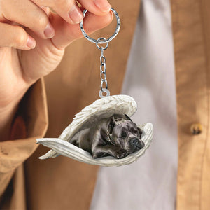 Wheaten Terrier1 Sleeping Angel Acrylic Keychain