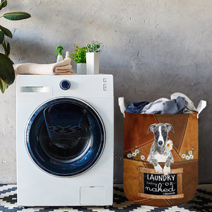 Whippet01 Laundry Today Or Naked Tomorrow Laundry Basket