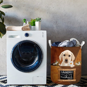 Yellow Labrador Laundry Today Or Naked Tomorrow Laundry Basket