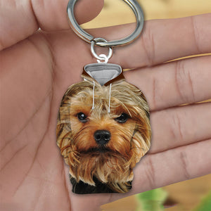 Yorkshire Terrier 3D Graphic Hoodie Acrylic Keychain