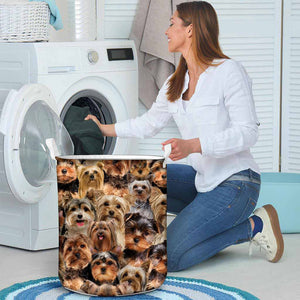 A Bunch Of Yorkshire Terriers Laundry Basket
