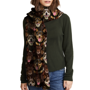 You Will Have A Bunch Of Australian Kelpies - Scarf V1
