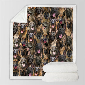 You Will Have A Bunch Of Belgian Malinois - Blanket V1