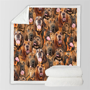 You Will Have A Bunch Of Bloodhounds - Blanket V1