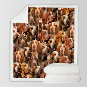 You Will Have A Bunch Of Bracco Italianos - Blanket V1