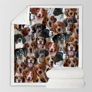 You Will Have A Bunch Of Brittany Spaniels - Blanket V1