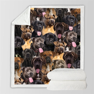 You Will Have A Bunch Of Cane Corsos - Blanket V1