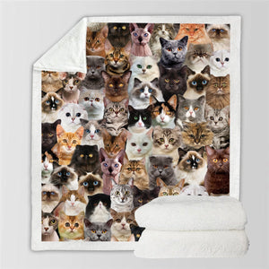 You Will Have A Bunch Of Cats - Blanket V1