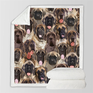 You Will Have A Bunch Of English Mastiffs - Blanket V1
