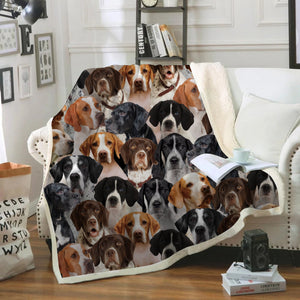 You Will Have A Bunch Of English Pointers - Blanket V1