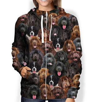 You Will Have A Bunch Of Newfoundlands - Hoodie V1