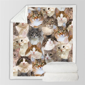 You Will Have A Bunch Of Norwegian Forest Cats - Blanket V1