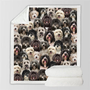 You Will Have A Bunch Of Tibetan Terriers - Blanket V1