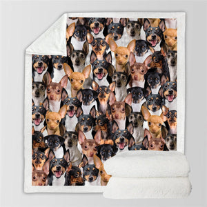 You Will Have A Bunch Of Toy Fox Terriers - Blanket V1