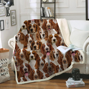 You Will Have A Bunch Of Welsh Springer Spaniels - Blanket V1