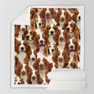 You Will Have A Bunch Of Welsh Springer Spaniels - Blanket V1