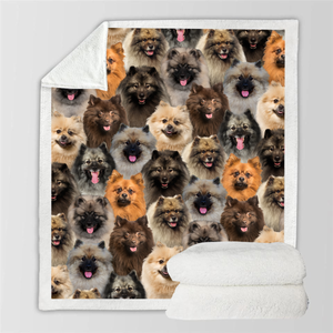 You Will Have A Bunch Of Keeshonds - Blanket V1