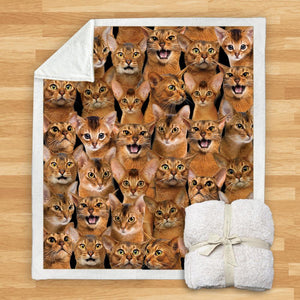 You Will Have A Bunch Of Abyssinian Cats - Blanket V1