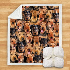 You Will Have A Bunch Of Airedale Terriers - Blanket V1