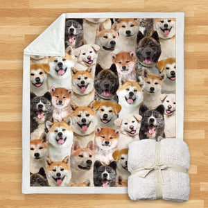 You Will Have A Bunch Of Akita Inus - Blanket V1