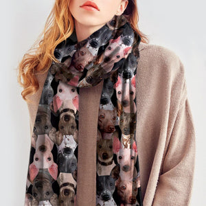 You Will Have A Bunch Of American Hairless Terriers - Scarf V1