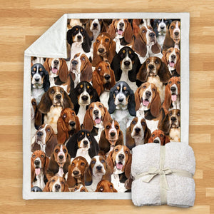 You Will Have A Bunch Of Basset Hounds - Blanket V1