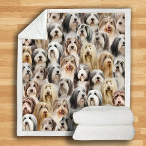 You Will Have A Bunch Of Bearded Collies - Blanket V1