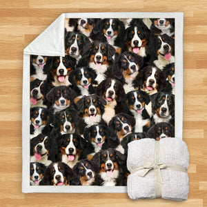 You Will Have A Bunch Of Bernese Mountains - Blanket V1