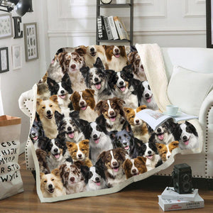 You Will Have A Bunch Of Border Collies - Blanket V1