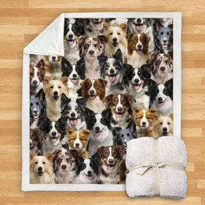 You Will Have A Bunch Of Border Collies - Blanket V1