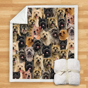 You Will Have A Bunch Of Cairn Terriers - Blanket V1