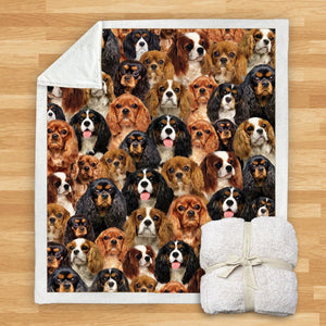 You Will Have A Bunch Of Cavalier King Charles Spaniels - Blanket V1