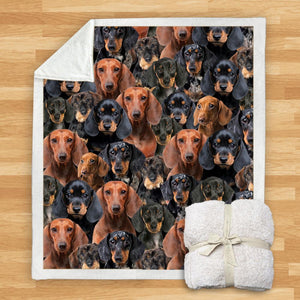 You Will Have A Bunch Of Dachshunds - Blanket V1