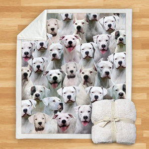 You Will Have A Bunch Of Dogo Argentinoes - Blanket V1