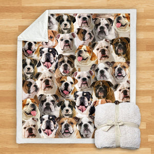 You Will Have A Bunch Of English Bulldogs - Blanket V1