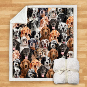 You Will Have A Bunch Of English Setters - Blanket V1
