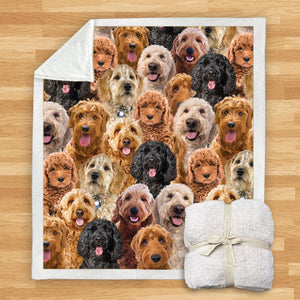 You Will Have A Bunch Of Goldendoodles - Blanket V1