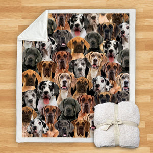 You Will Have A Bunch Of Great Danes - Blanket V1