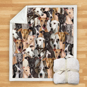 You Will Have A Bunch Of Greyhounds - Blanket V1