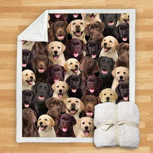 You Will Have A Bunch Of Labradors - Blanket V1