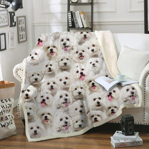 You Will Have A Bunch Of Malteses - Blanket V1