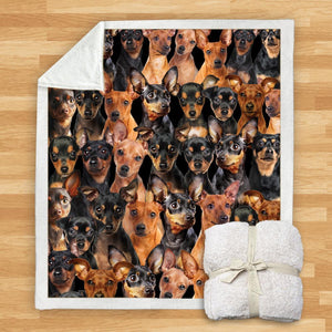 You Will Have A Bunch Of Miniature Pinschers - Blanket V1