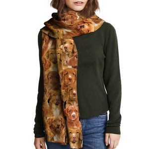 You Will Have A Bunch Of Nova Scotia Duck Tolling Retrievers - Scarf V1